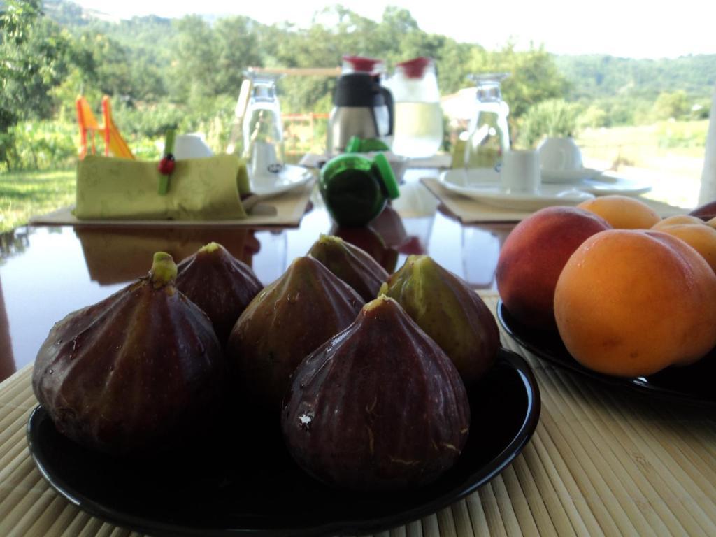 B&B Casa Vacanza Verzellino San Gregorio Magno Luaran gambar